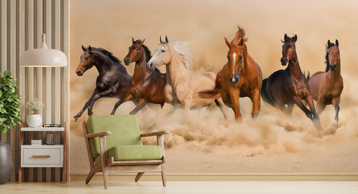 Howdy Wallpaper : Shop Peel and Stick Wallpaper