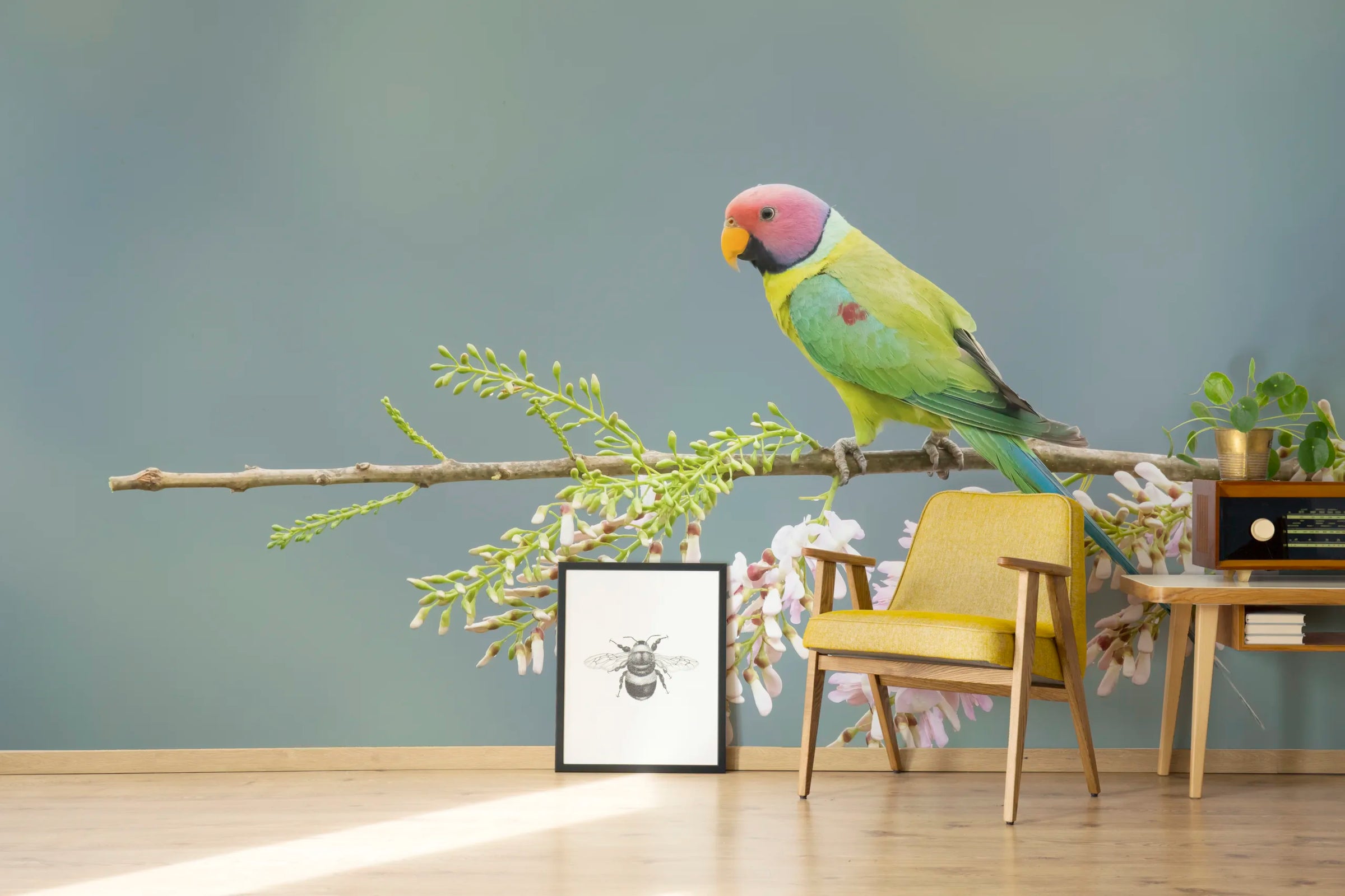 Nature Inspired Parrot Design | Vibrant Peel And Stick Living Room Wall Art Wallpaper image 2