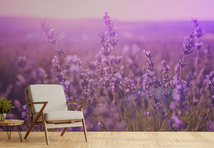 Purple Beauty of Lavender Floral Wallpaper