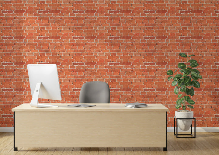 Howdy Wallpaper : Shop Peel and Stick Wallpaper