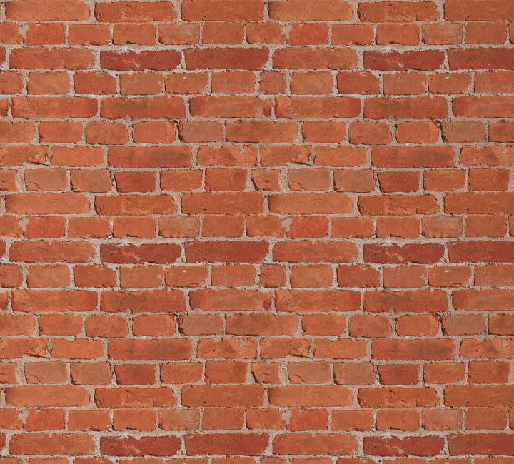 Howdy Wallpaper : Shop Peel and Stick Wallpaper