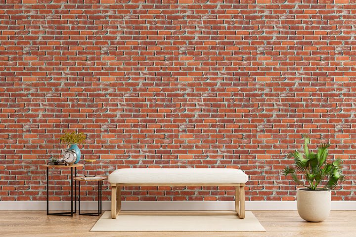 Howdy Wallpaper : Shop Peel and Stick Wallpaper