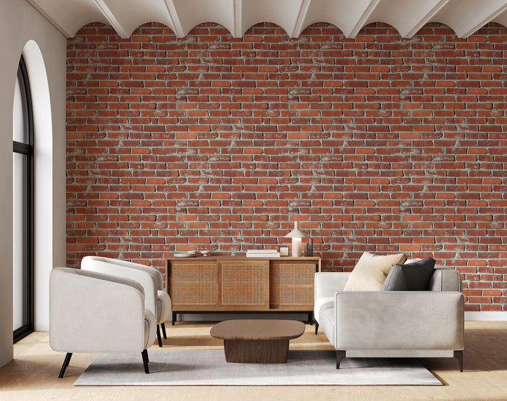 Howdy Wallpaper : Shop Peel and Stick Wallpaper