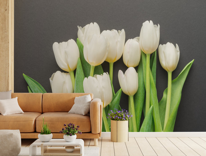 Howdy Wallpaper : Shop Peel and Stick Wallpaper