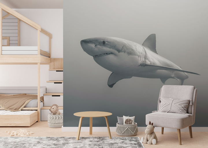 Howdy Wallpaper : Shop Peel and Stick Wallpaper