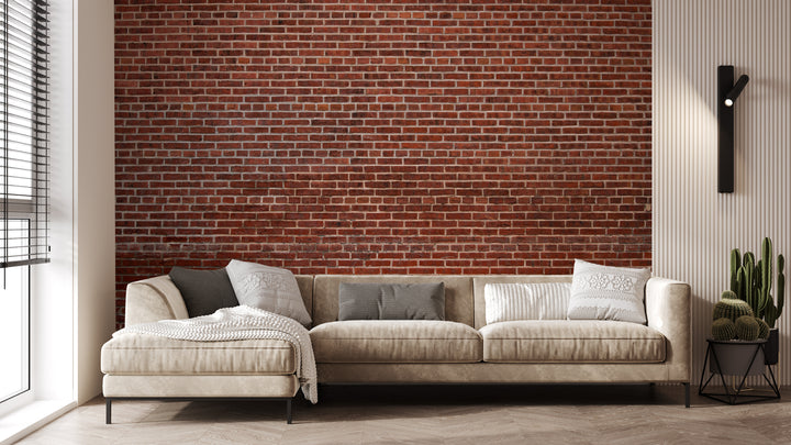 Howdy Wallpaper : Shop Peel and Stick Wallpaper