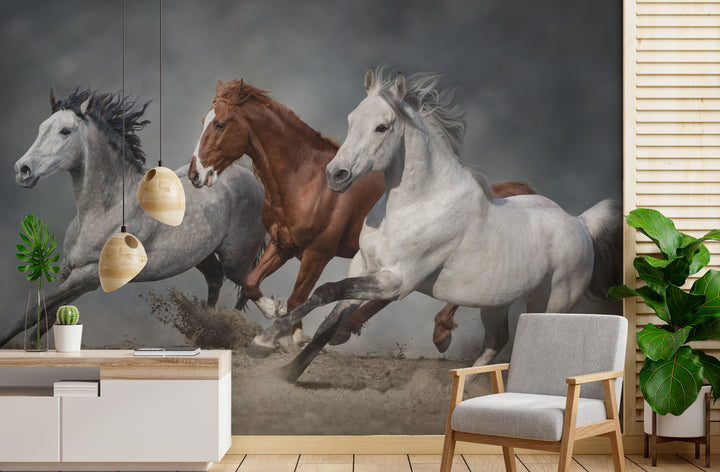 Howdy Wallpaper : Shop Peel and Stick Wallpaper