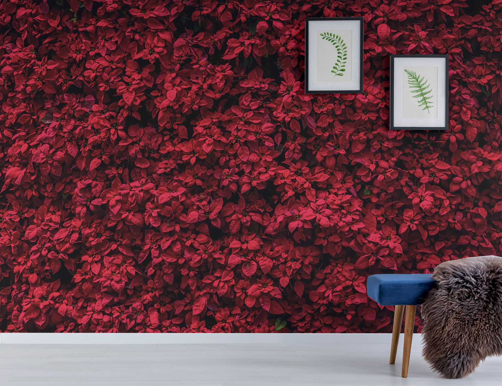 Elegant Red Poinsettia | Floral Botanical Peel and Stick Wallpaper