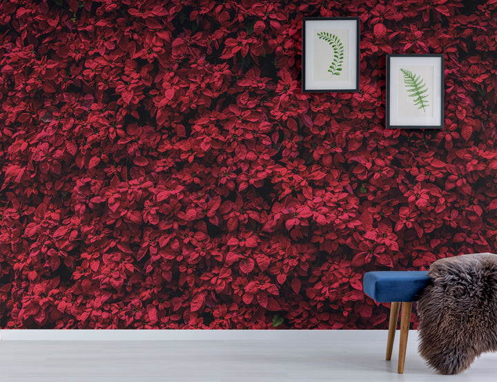 Howdy Wallpaper : Shop Peel and Stick Wallpaper