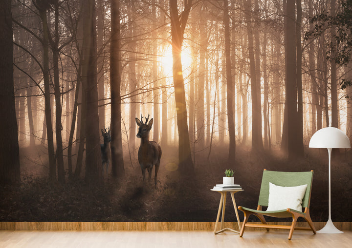 Howdy Wallpaper : Shop Peel and Stick Wallpaper