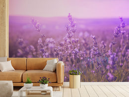Purple Beauty of Lavender Floral Wallpaper