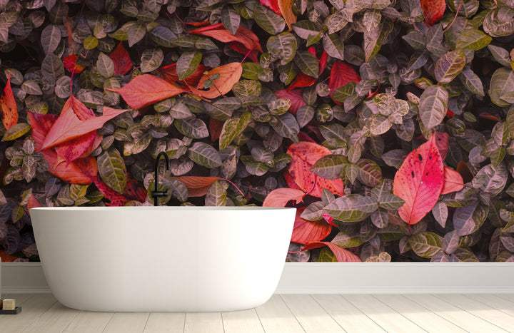 Howdy Wallpaper : Shop Peel and Stick Wallpaper