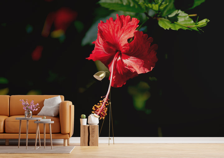 Howdy Wallpaper : Shop Peel and Stick Wallpaper
