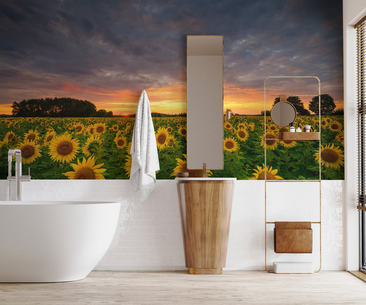 Howdy Wallpaper : Shop Peel and Stick Wallpaper