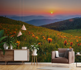 Golden Hour Meadow Nature Peel and Stick Wallpaper