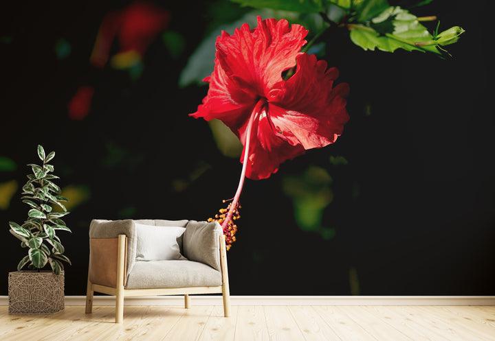 Howdy Wallpaper : Shop Peel and Stick Wallpaper