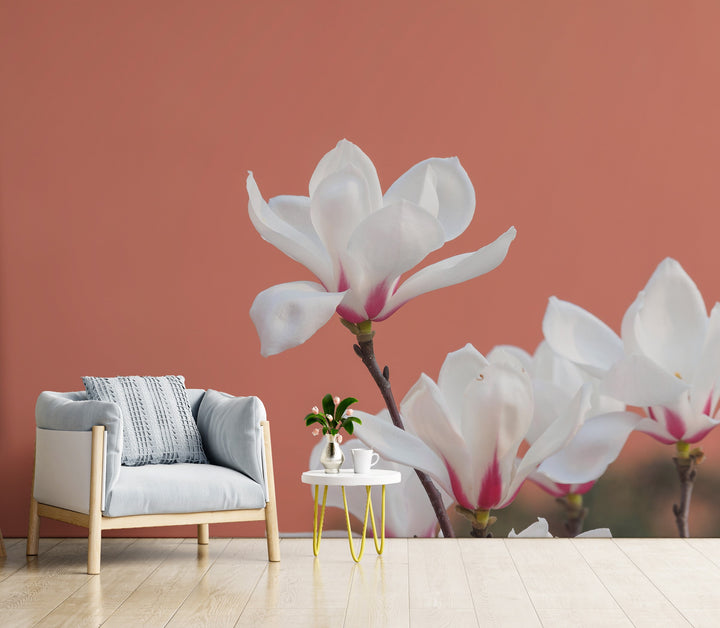 Howdy Wallpaper : Shop Peel and Stick Wallpaper